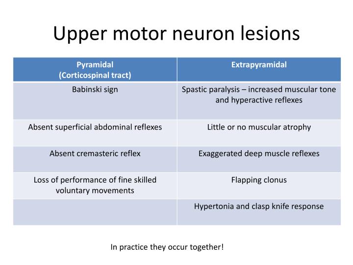 upper-and-lower-motor-neuron-lesions