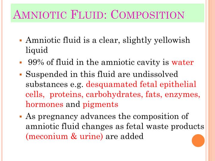 amniotic fluid or discharge amniotic fluid or discharge