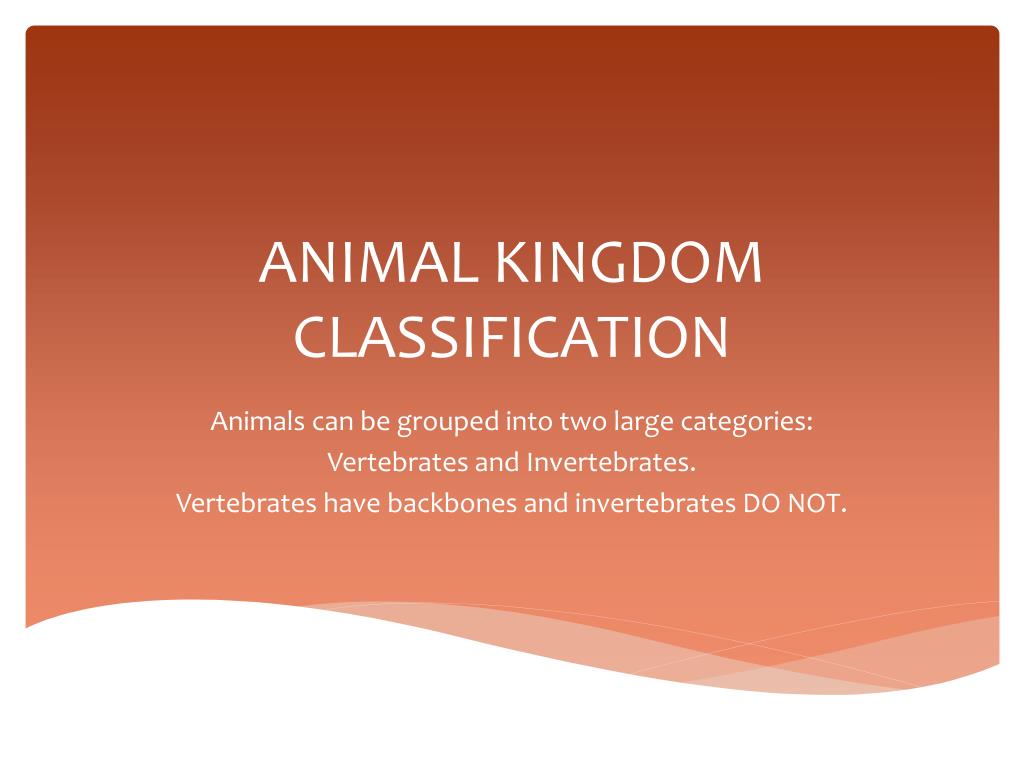 PPT - ANIMAL KINGDOM CLASSIFICATION PowerPoint Presentation, free download  - ID:2090468