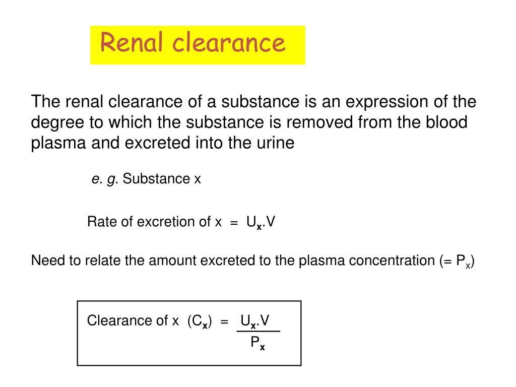 Ppt Renal Clearance Powerpoint Presentation Free Download Id