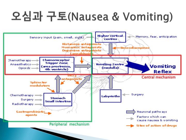 Capecitabine Chemotherapy And Alcohol