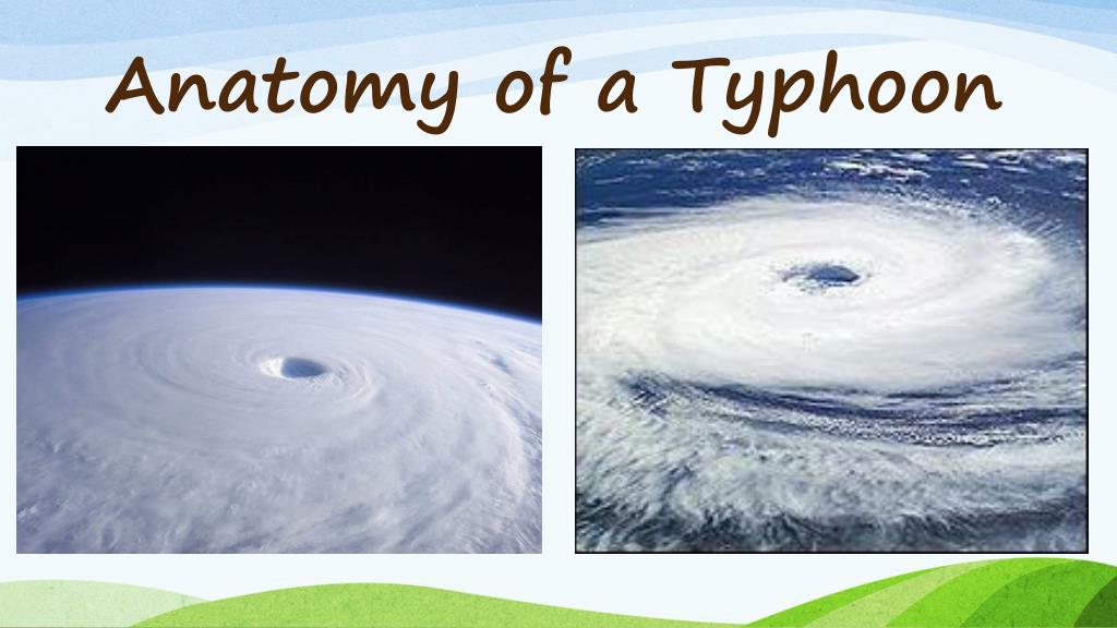 PPT - Typhoons PowerPoint Presentation, free download - ID:2092194