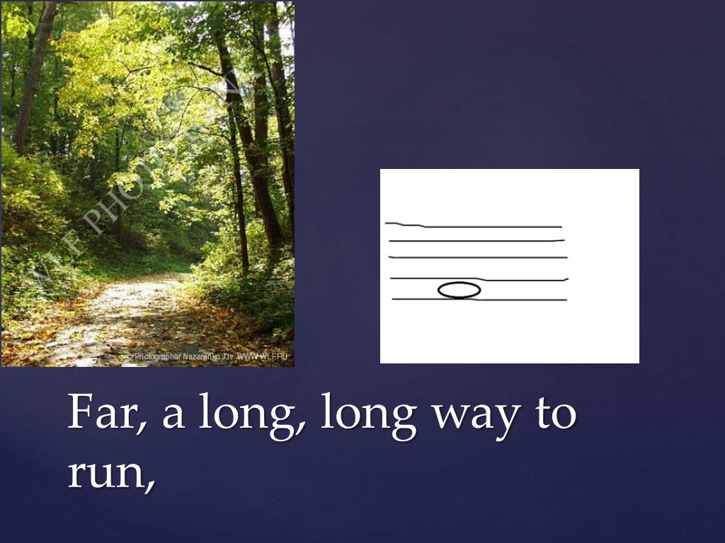 This long way. A long long way to Run.