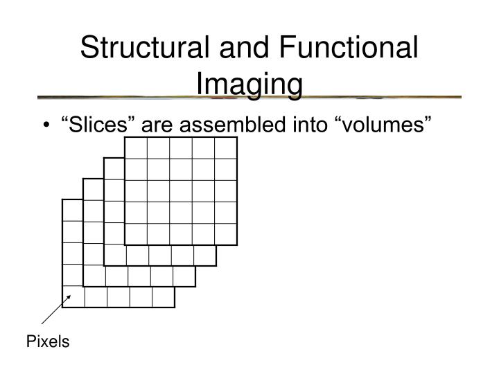 PPT Structural and Functional Imaging PowerPoint Presentation ID