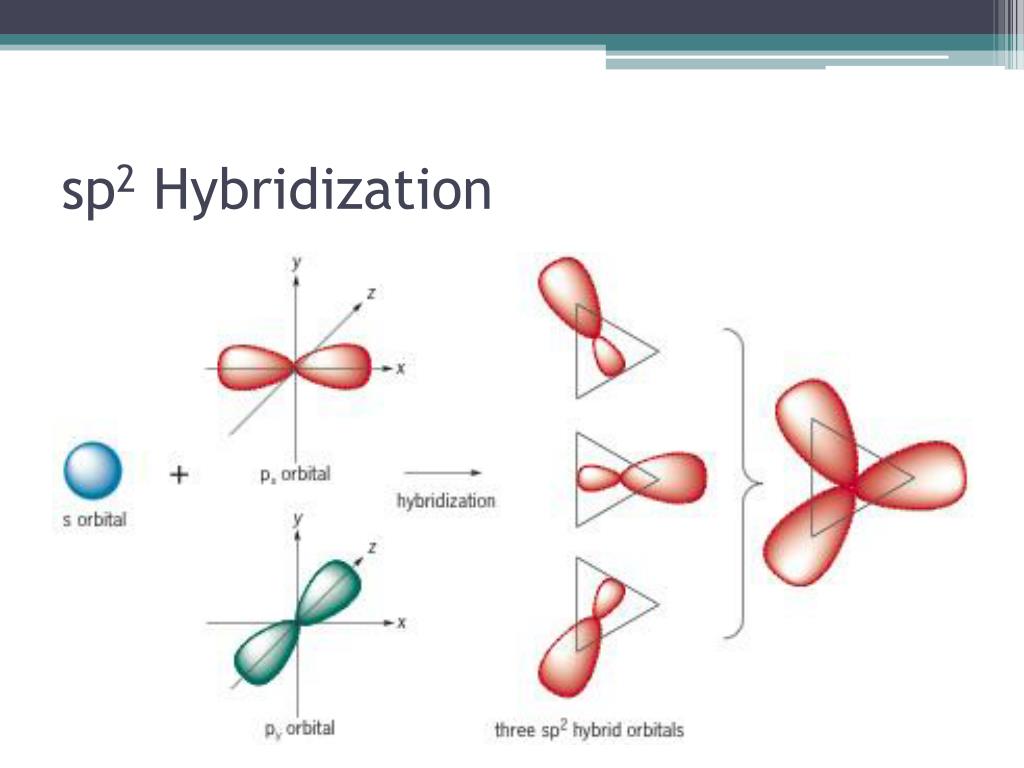 PPT - Hybridization PowerPoint Presentation, free download - ID:2093658