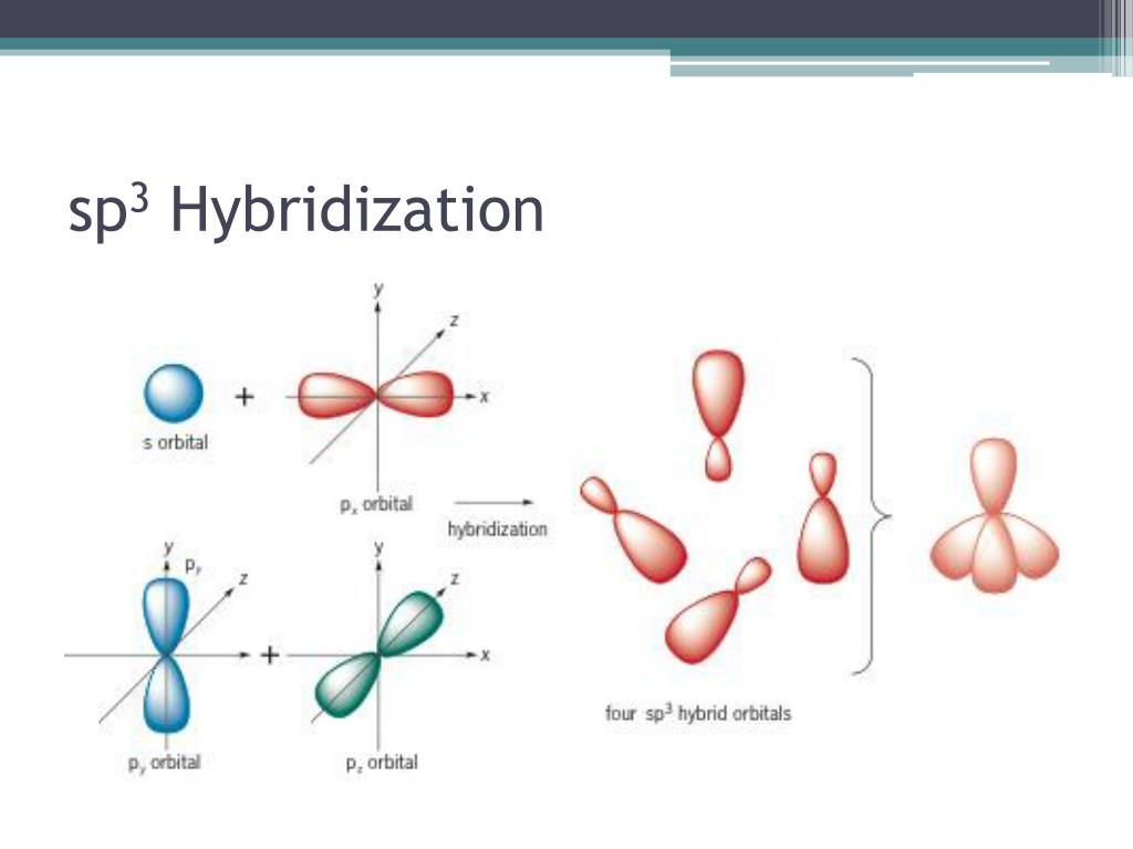 PPT Hybridization PowerPoint Presentation Free Download ID 2093658 PPT Hybridization PowerPoint Presentation Free Download ID 2093658