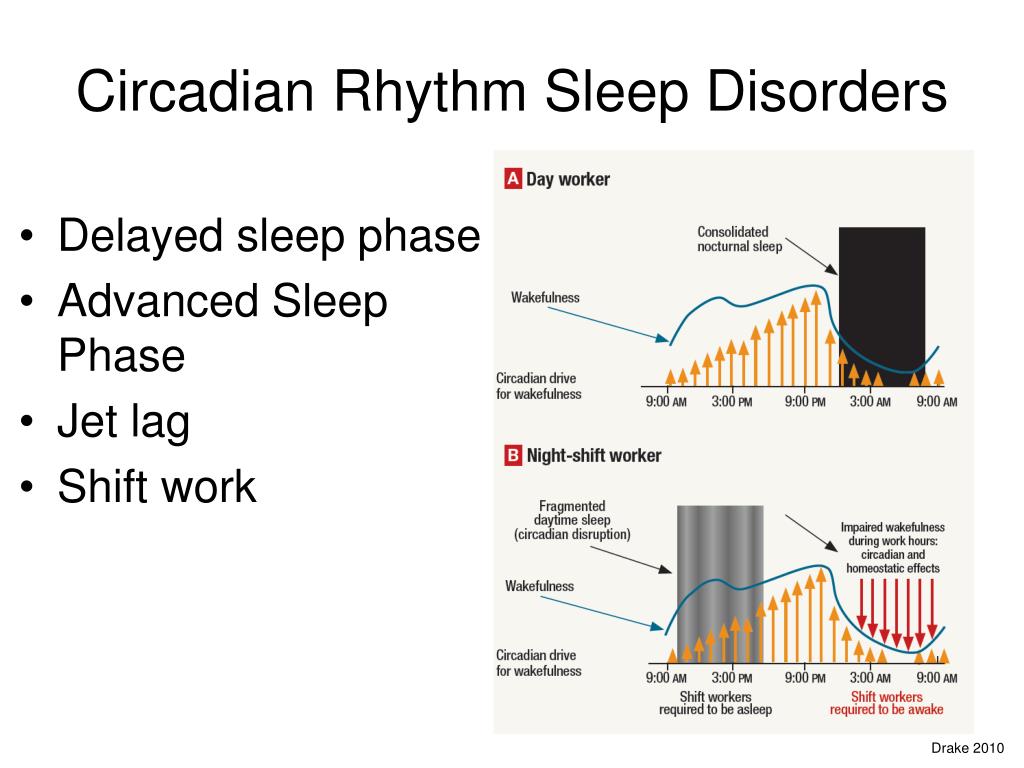 PPT The Neurobiology of Sleep and Sleep Disorders PowerPoint Presentation ID2094557