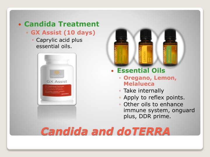 PPT Candida Albicans PowerPoint Presentation ID2094677
