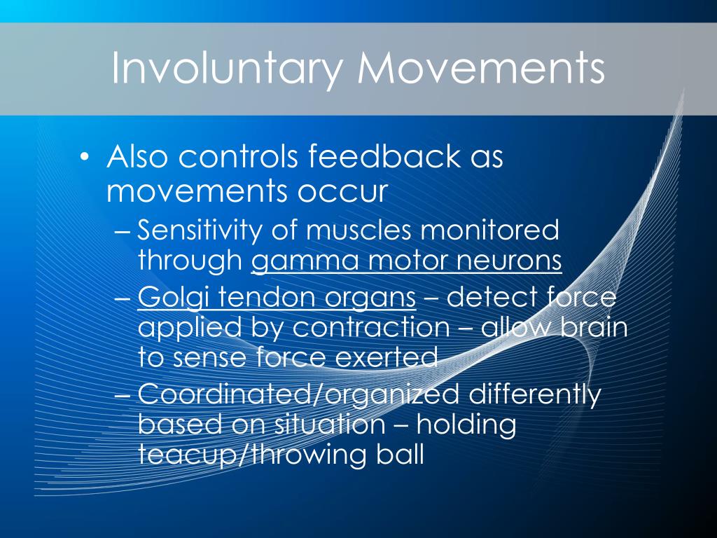 PPT Chapter 1, 2, 3, and 5 Review PowerPoint Presentation, free PPT Chapter 1, 2, 3, and 5 Review PowerPoint Presentation, free