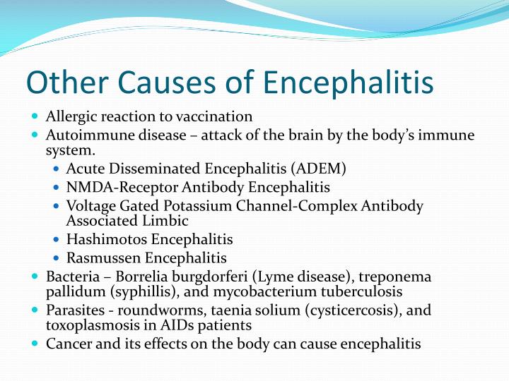 Pathophysiology Of Encephalitis