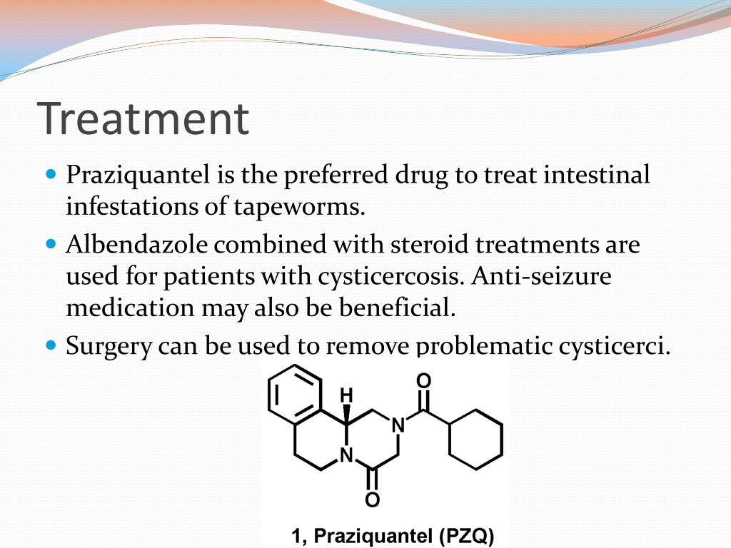 PPT Taenia Solium Pork Tapeworm PowerPoint Presentation Free PPT Taenia Solium Pork Tapeworm PowerPoint Presentation Free