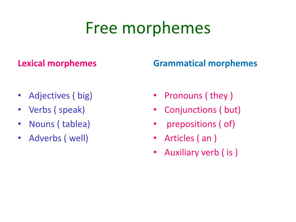 What Are Morphemes
