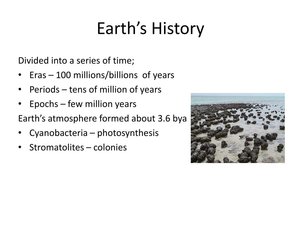 earth history timeline 3d