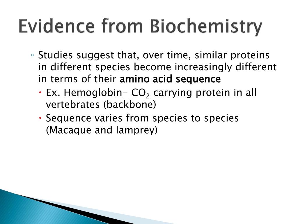 What is biochemical evidence for evolution at julia pellot blog