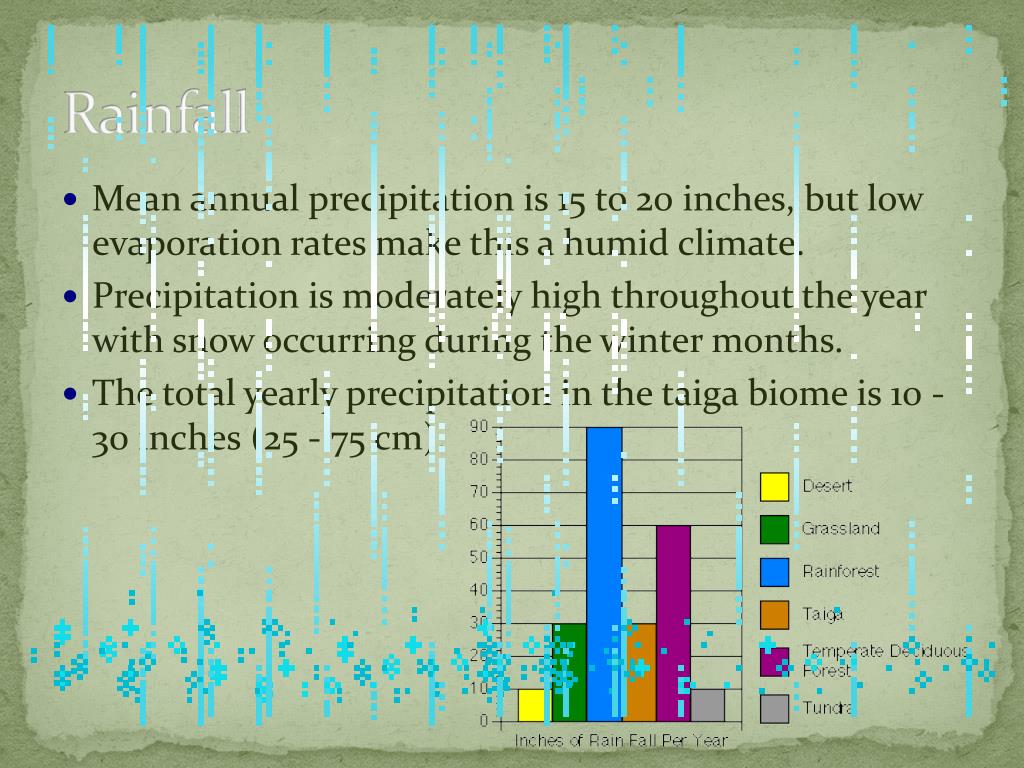 taiga average rainfall