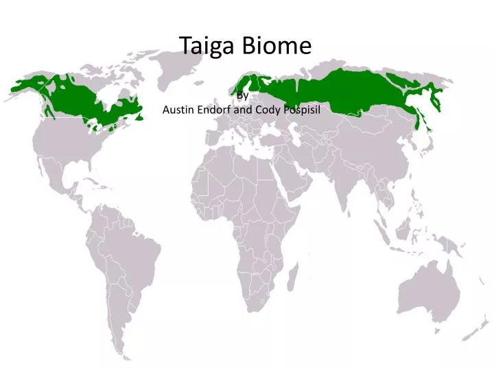 blue planet biomes taiga blue planet biomes taiga