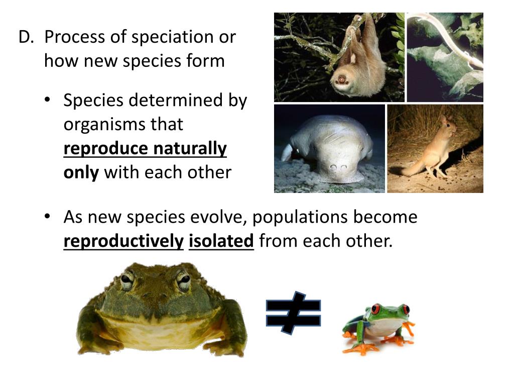 Ppt Introduction Into Evolution Click Picture Powerpoint