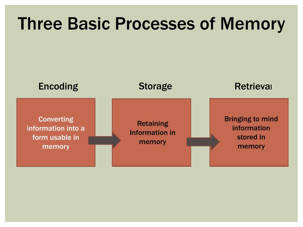 PPT Memory PowerPoint Presentation Free Download ID 2100167