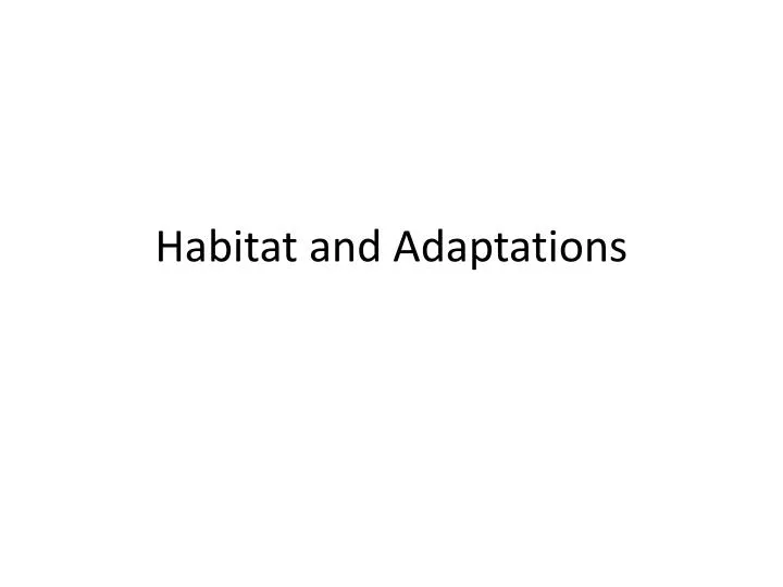 habitat and adaptations n.