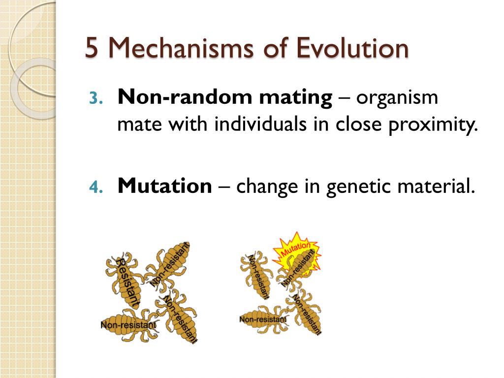 mechanism of evolution