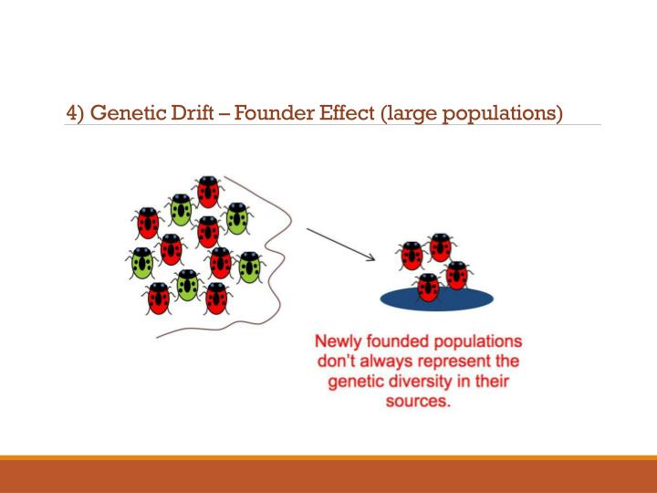 PPT - Section 9.1: Mechanisms of Evolution and Effect on Populations ...