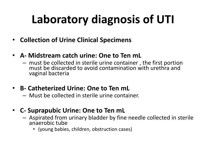 PPT Urinary tract infection ( UTI ) PowerPoint Presentation ID2101184