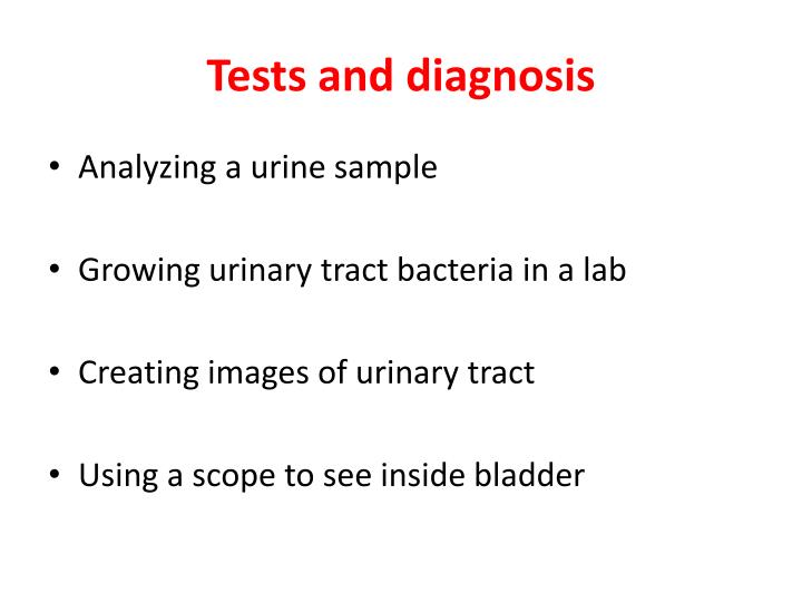 Ppt - Urinary Tract Infection ( Uti ) Powerpoint Presentation - Id:2101291