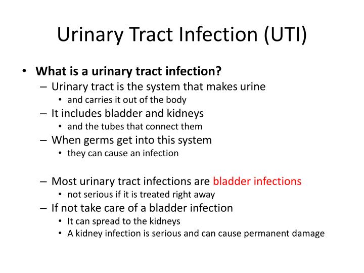 PPT - Urinary tract infection ( UTI ) PowerPoint Presentation - ID:2101291