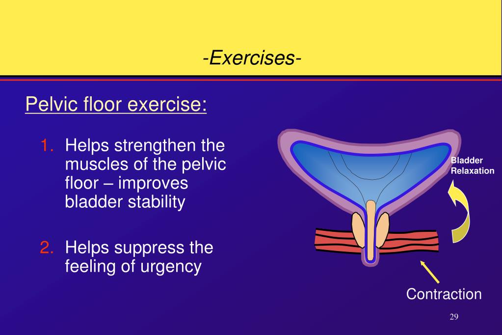 PPT Neurogenic Bladder Disorders PowerPoint Presentation Free 