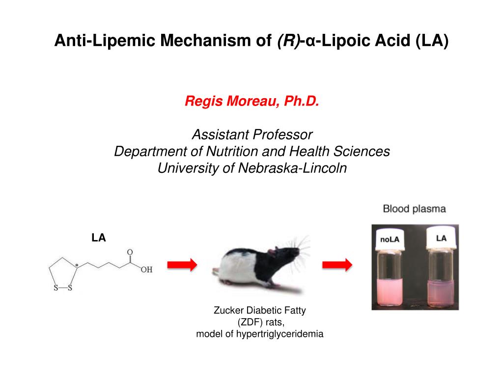 PPT - Anti- Lipemic Mechanism of (R) -α- Lipoic Acid (LA) PowerPoint ...