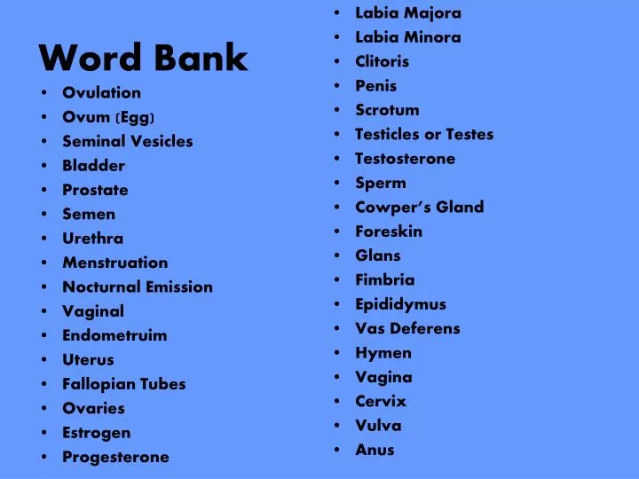 PPT - Word Bank PowerPoint Presentation, free download - ID:2102372
