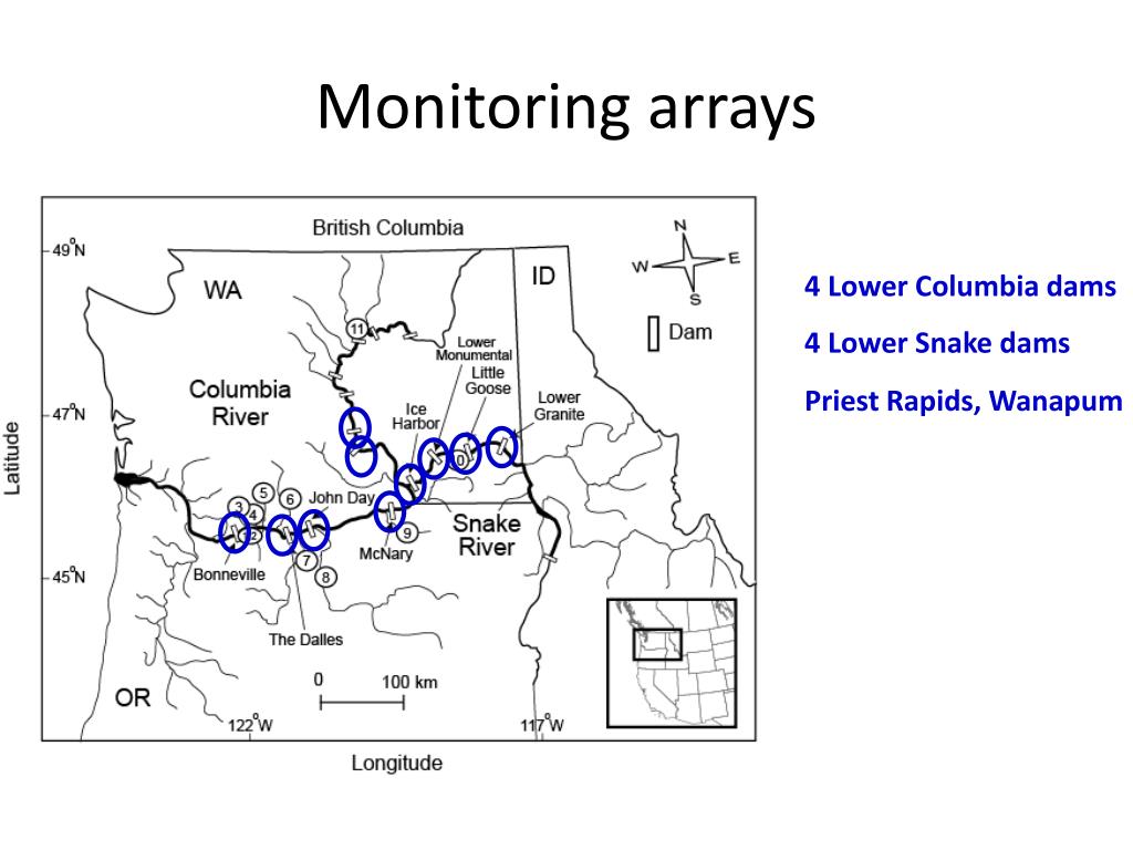 PPT - Radio Telemetry Studies of Adult Salmonids and Pacific Lamprey in ...