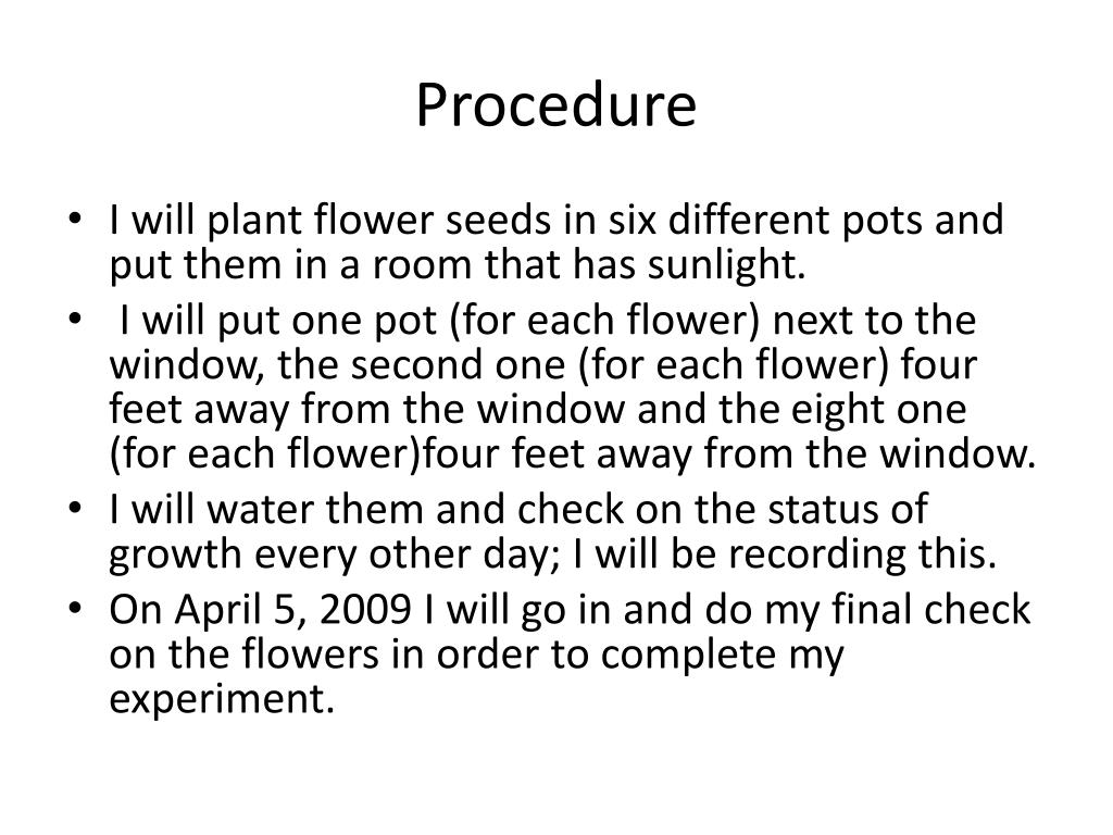 PPT Sunlight And Flowers PowerPoint Presentation Free Download ID 