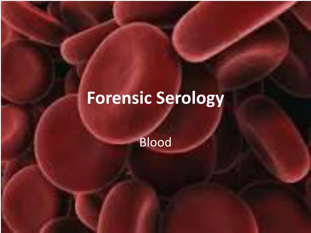 PPT - Forensic Serology PowerPoint Presentation, free download - ID:2104200