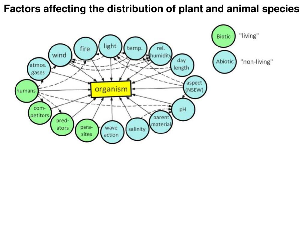 PPT - Factors affecting the distribution of plant and animal species  PowerPoint Presentation - ID:2104547