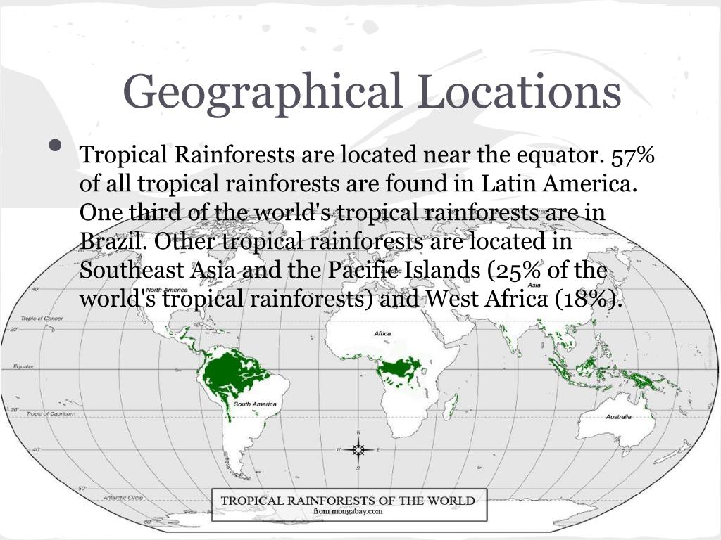 Location Of Tropical Rainforest - Where Are Rainforests Enchantedlearning Com / Although the the ...