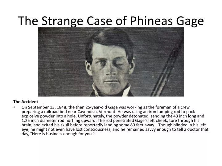 the-strange-case-of-phineas-gage-n.jpg