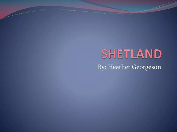 shetland n.