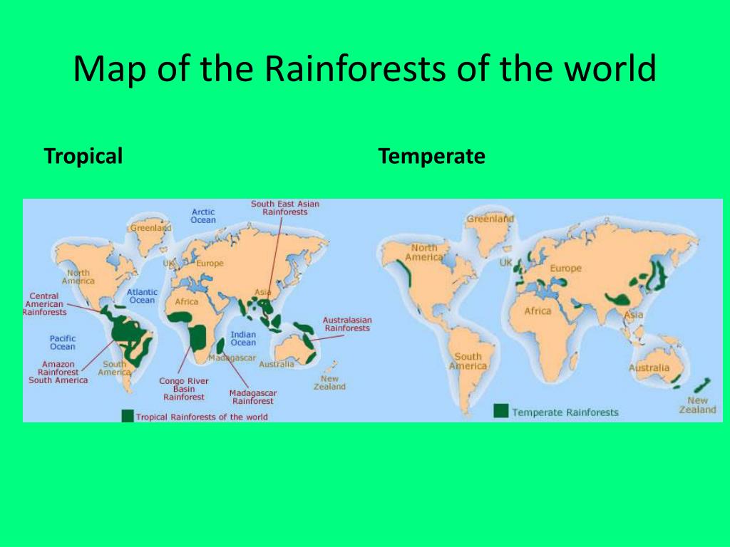 Tropical Rainforest Location World Map