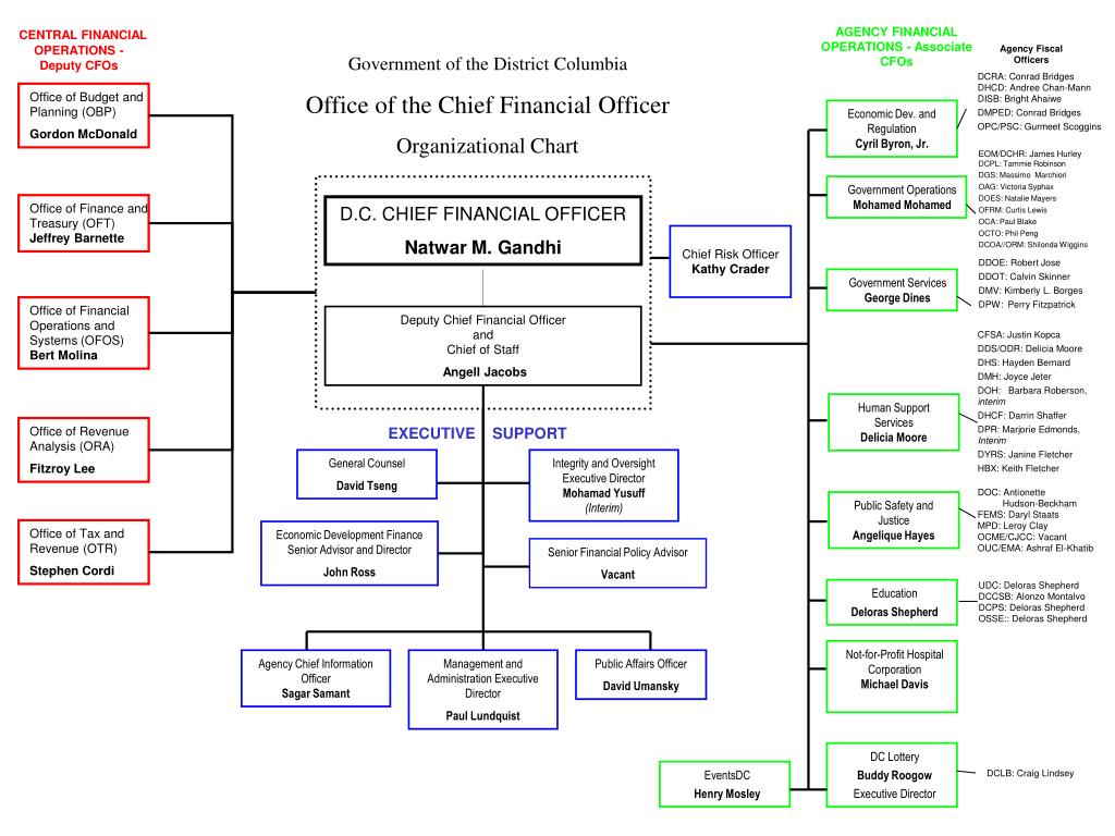 Dc Dgs Org Chart