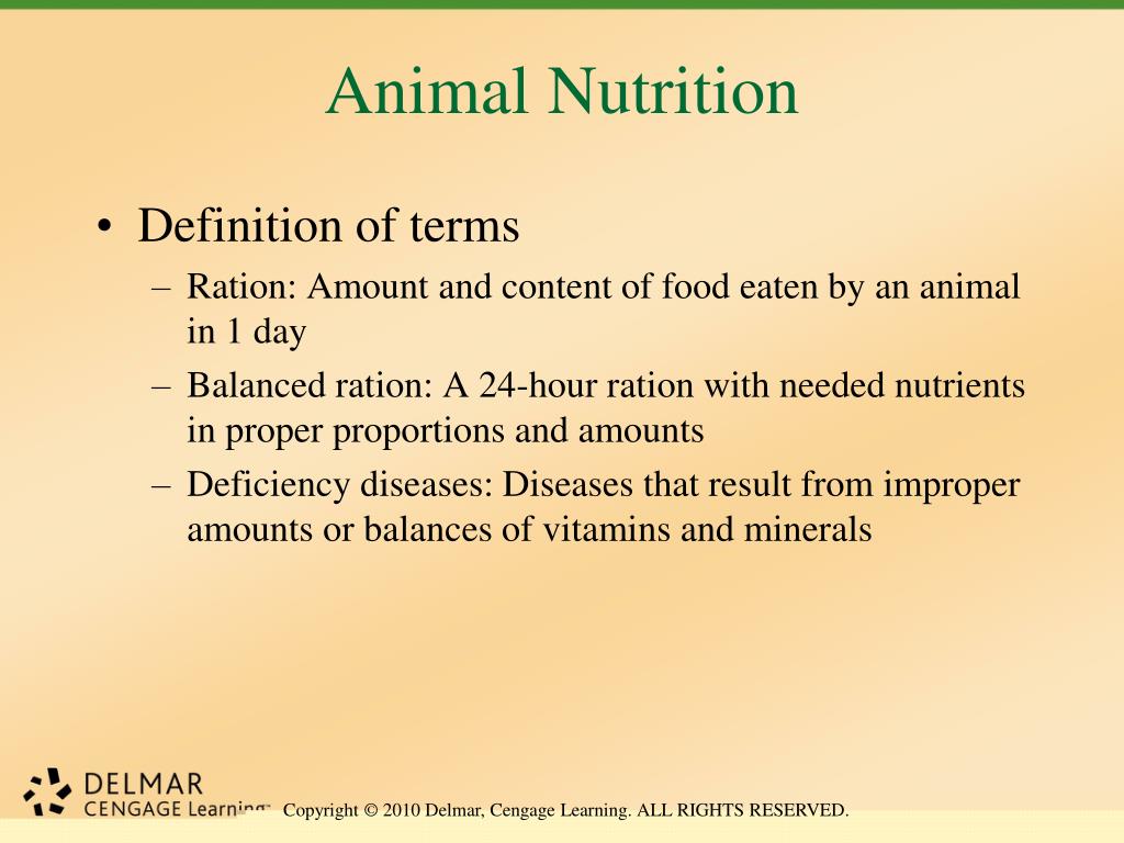 PPT - Unit 26 Animal Anatomy, Physiology, and Nutrition PowerPoint  Presentation - ID:2106672