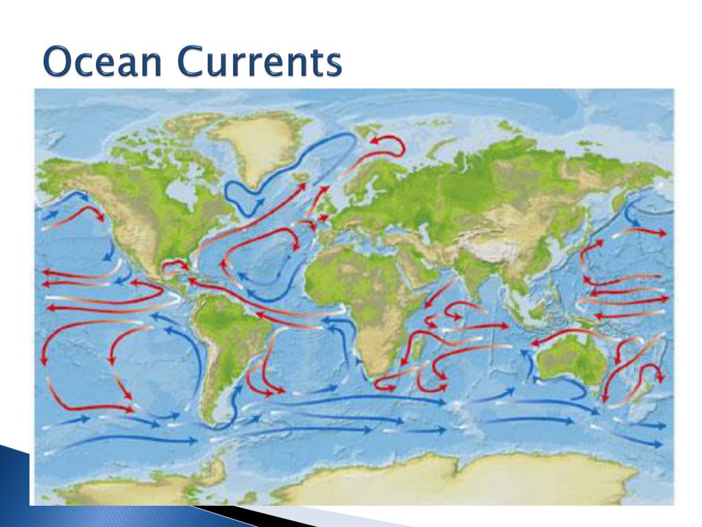 Мощное течение мирового океана. Поверхностные течения мирового океана. Основные поверхностные течения в мировом океане. Карта течений мирового океана. Тёплые течения мирового океана.