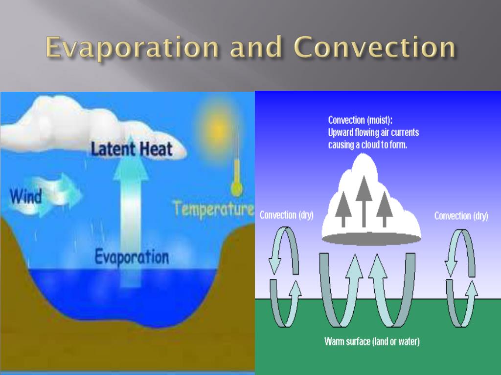 PPT - Water on Earth PowerPoint Presentation, free download - ID:2107706