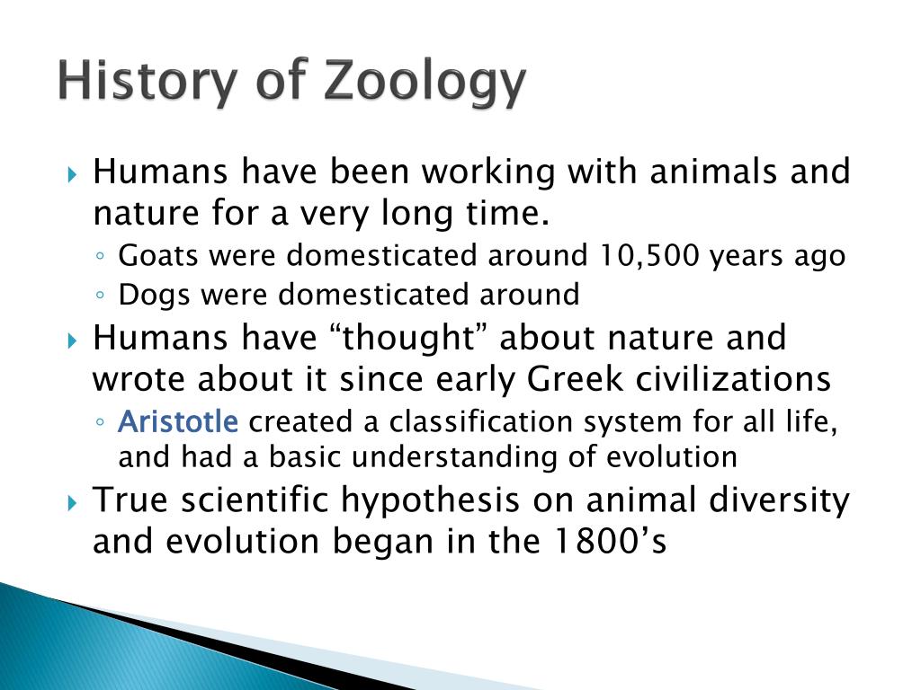 thesis about zoology