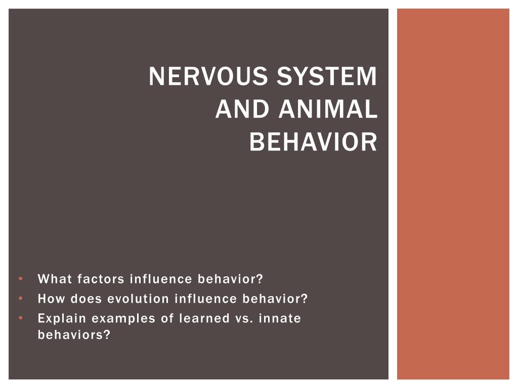 PPT - Nervous System and Animal Behavior PowerPoint Presentation, free  download - ID:2108102