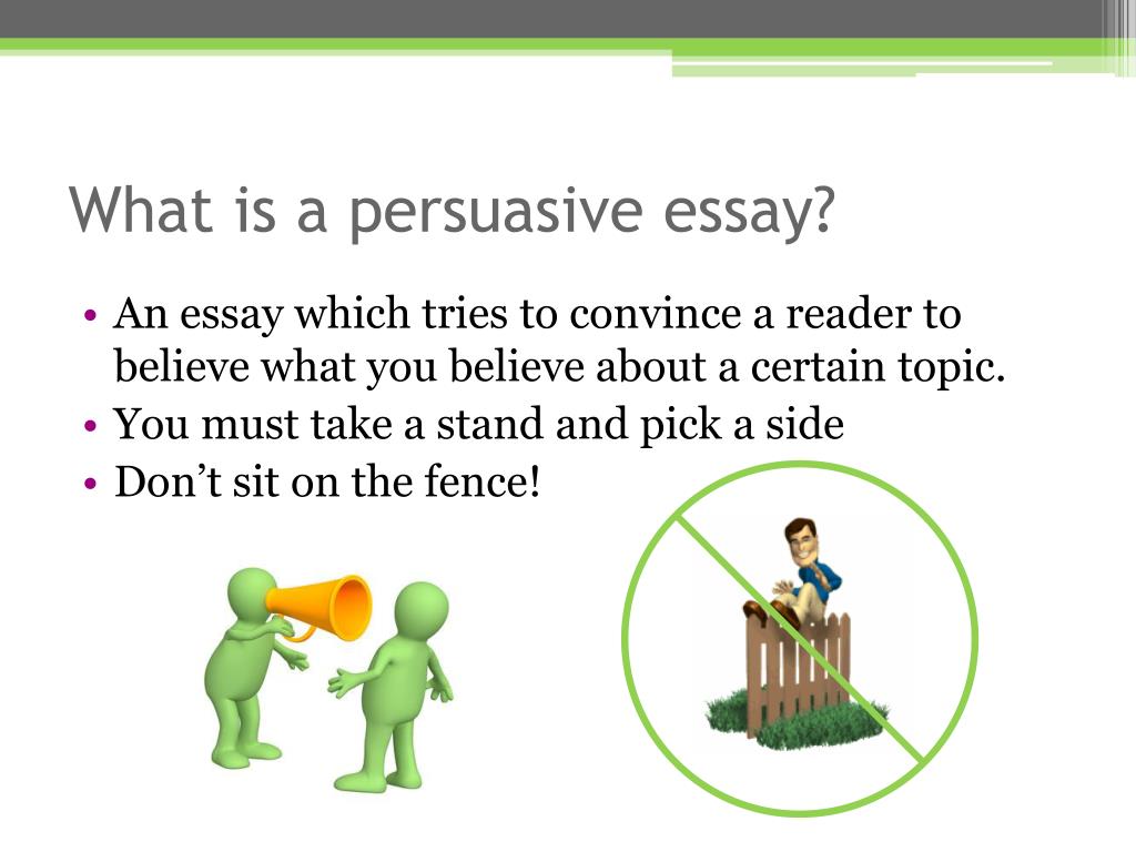 persuasive paragraph ppt