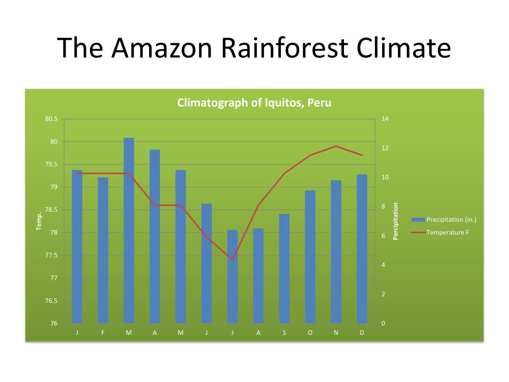 Amazon Rainforest Climate Temperature And Rainfall At Christina 