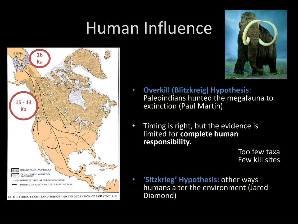 PPT - Humans and the Pleistocene Megafaunal Extinction PowerPoint ...