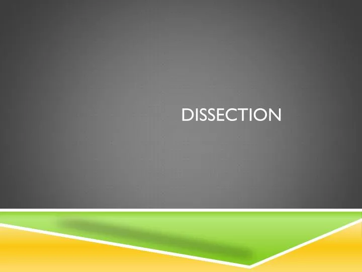 dissection n.