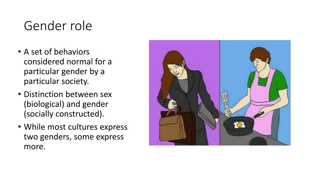 assignment about gender